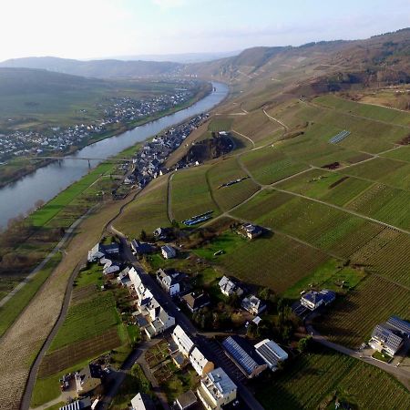 Moselie Ferienwohnung Kinheim Mosel Εξωτερικό φωτογραφία