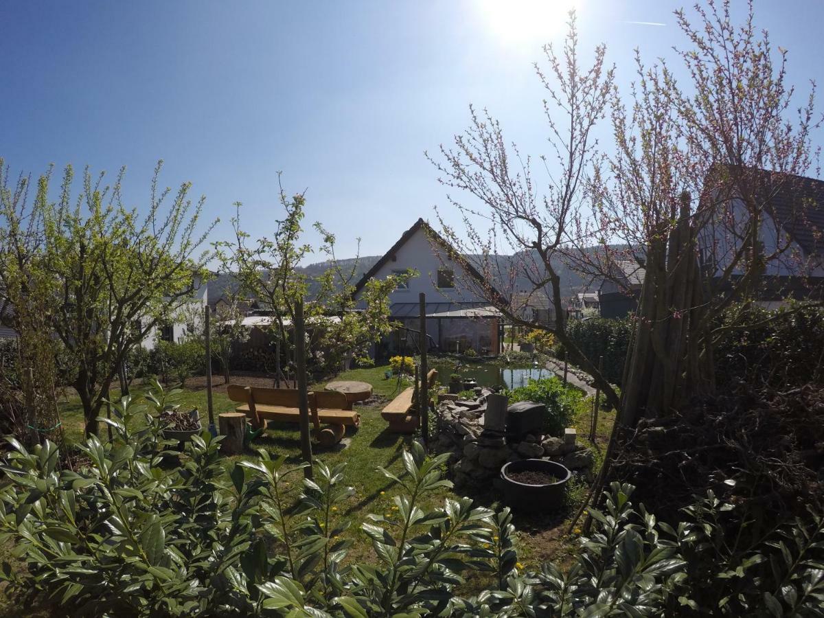Moselie Ferienwohnung Kinheim Mosel Εξωτερικό φωτογραφία